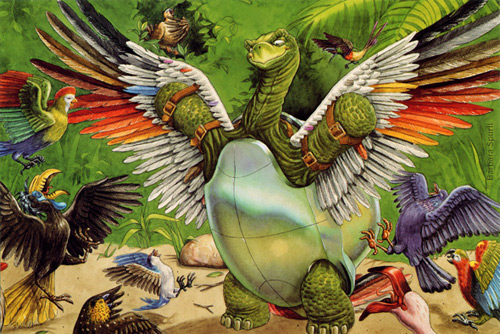 tortoise-birds.jpg