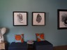 Main area lounge