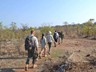 Walking safaris also available