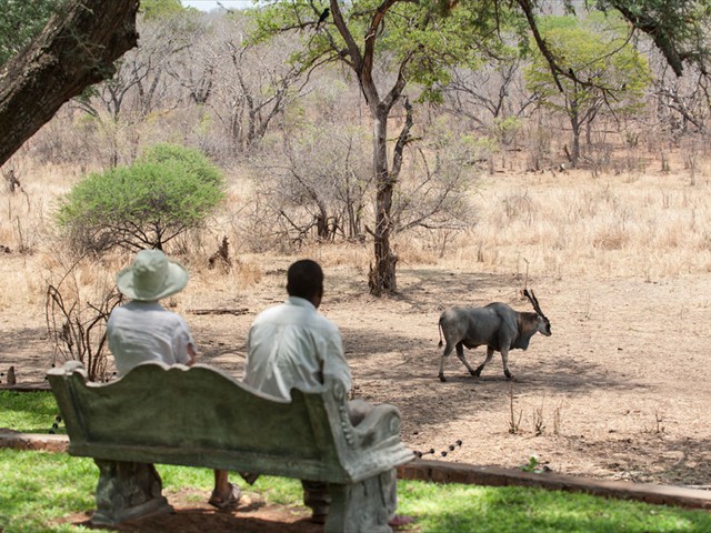 Watch the daily traffic from the lodge