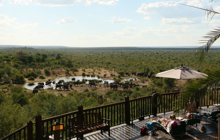 Victoria Falls Safari Lodge view of the waterhole - Zimbabwe