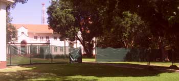 Green screening in place 