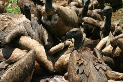 Courtesy of Pete Roberts