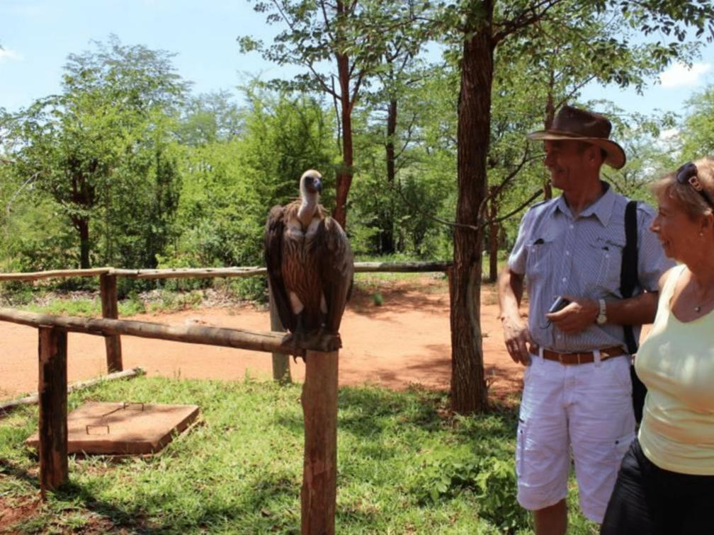 Visit the Victoria Falls Wildlife Trust in Victoria Falls, Zimbabwe