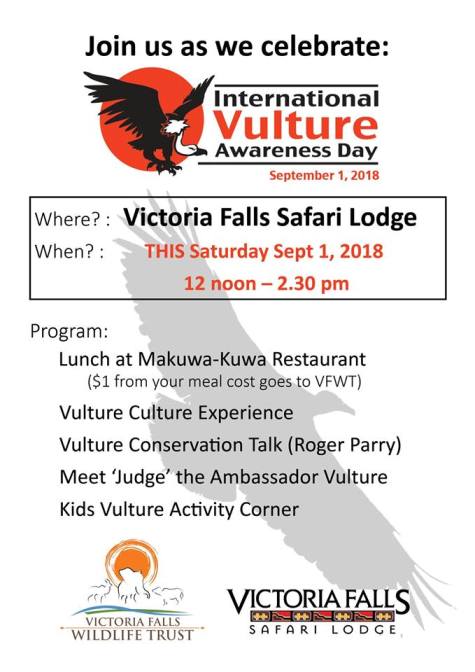 Vulture Awareness Day in Victoria Falls, Zimbabwe