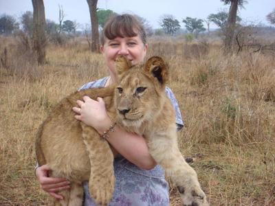 walking with lions