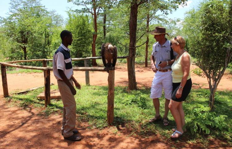 Visit to the Victoria Falls Wildlife Trust and sanctuary at The Wallow in Victoria Falls, Zimbabwe