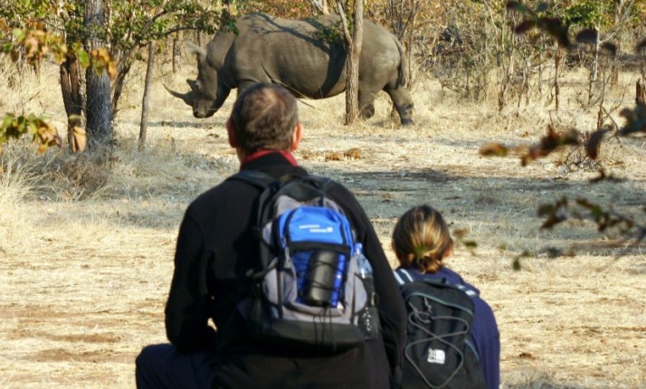 On a rhino walk