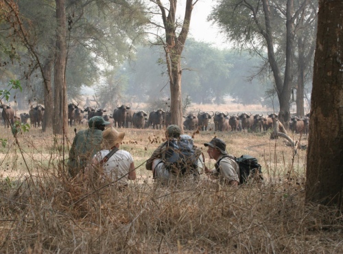 Hwange Bush Camp, Hwange National Park, Zimbabwe
