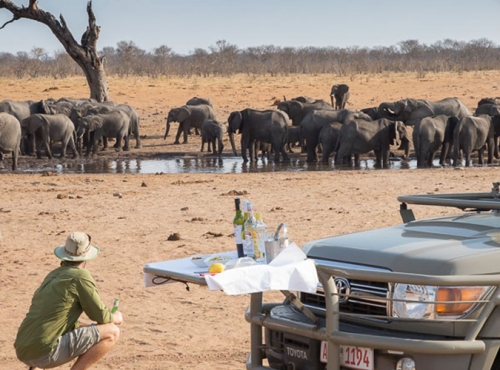 Robins Camp - Hwange