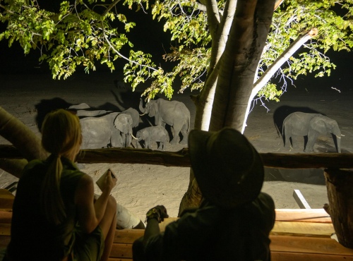 Sable Valley - Dete Vlei/Hwange, Zimbabwe