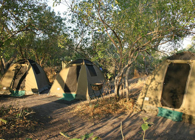 Dome tents in the Okavango