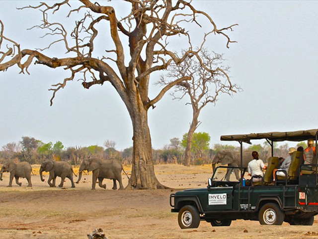 Hwange game drive