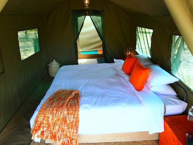 Luxury camping safari accommodation