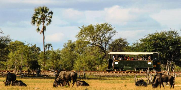 Get there by rail safari