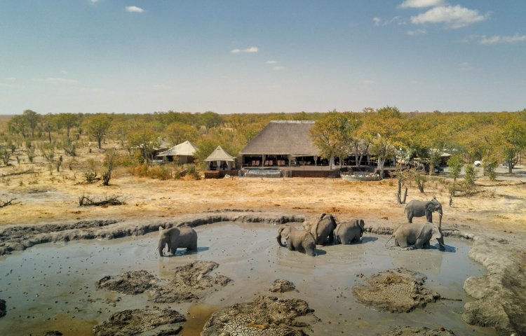 Facing the local waterhole