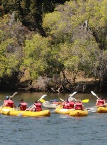 Canoeing on the upper Zambezi River, packaged with a sunset cruise