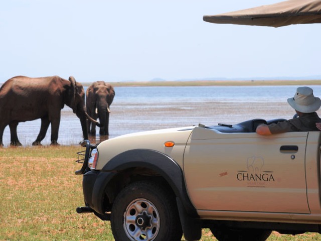 Game drive in Matusadona National Park