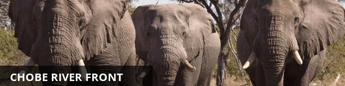 Destination Chobe National Park, Botswana