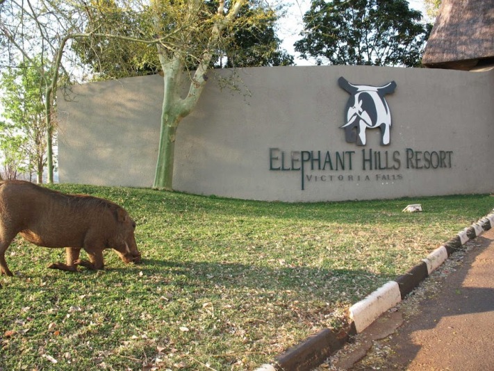 Visitors at the hotel entrance