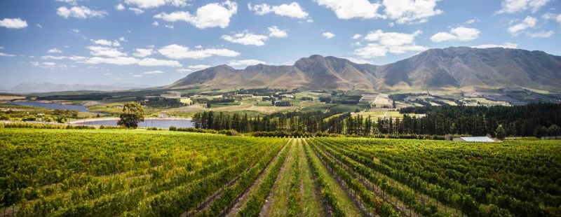 Hemel-en-Aarde Valley