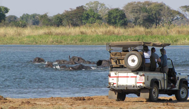 Game drives in the national park