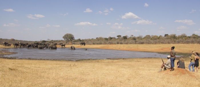 Walking safari