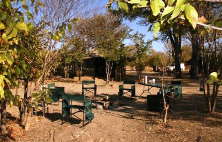 Real bush living