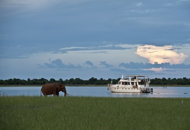 Wildlife in Kariba