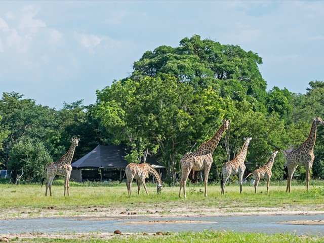 View from the waterhole