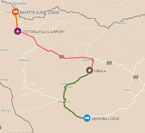 Victoria Falls and Hwange National Park in an authentic safari and more