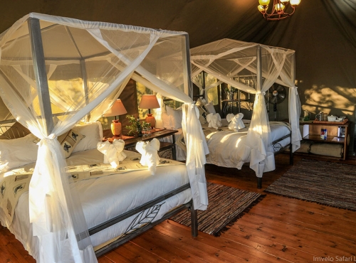 Bomani Tented Lodge - Hwange National Park, Zimbabwe