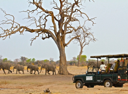 Bomani Tented Lodge - Hwange National Park, Zimbabwe