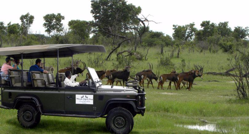 Game drive with Miombo Camp