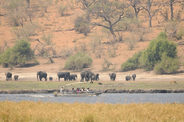 Cruising on the Chobe River from Ngoma Safari Lodge - Botswana