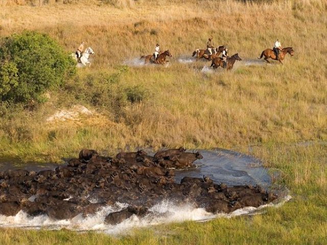 Horse-riding in the dry season