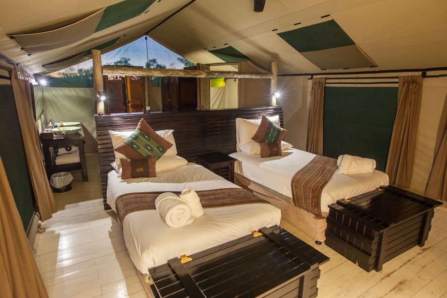 Luxurious rooms in safari camps