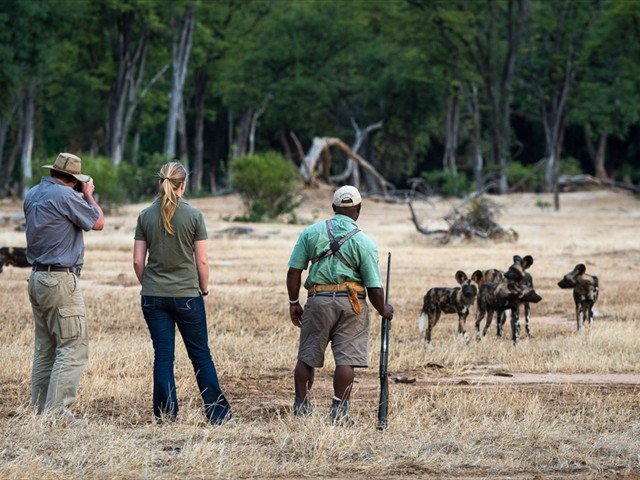 Walking safari at Ruckomechi Camp, Mana Pools