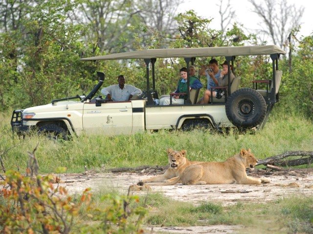 Game drive in Moremi