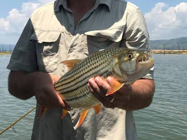 Kariba Activities What To Do Lake Kariba Kariba Activities What To Do Lake Kariba