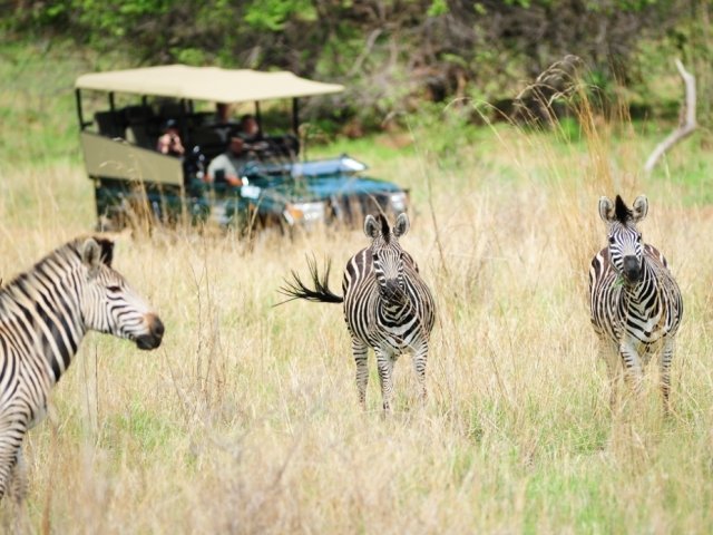 The Private Game Reserve