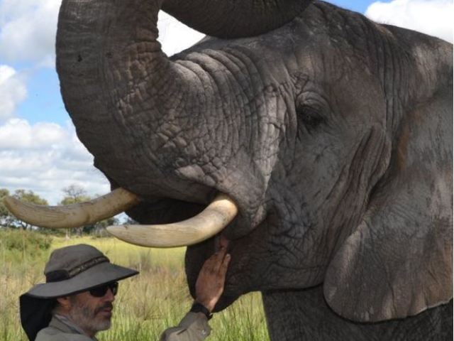 Elephant interaction on Chief's Island