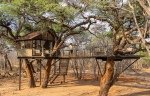 Canopy-level treehouse accommodation