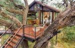 Tum Tum Treehouse Lodge in Hwange