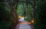 Set in teak forest