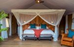 Spacious tented rooms