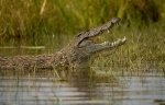 Where you can spot some amazing creatures