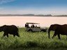 Game drives