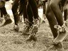 Traditional dancers doing a bush dance