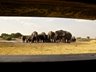 Access to the underground hide